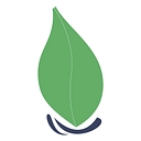 Life Connection Counseling logo