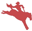 Lifeguard Financial logo