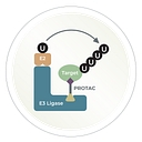 Lifesensors, Inc logo