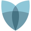 Lifeshield National Insurance Co. logo