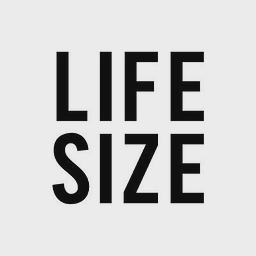 Life Size Architecture logo
