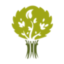 Life Source International Inc logo