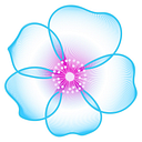 Lifespan Extension Advocacy Foundation logo