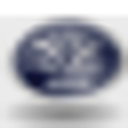 LifeSprings Care Services logo