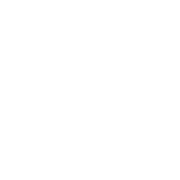 Light Transit logo
