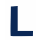 LightNoteAI logo — Full-Stack AI Developer Intern job on DevsUnite