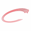 Lightspeed Construction Group