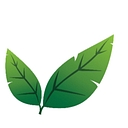 Lilotree logo