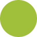 Lime Recruit logo