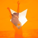 Lince logo
