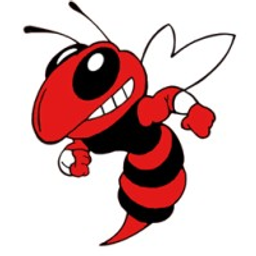 Lincoln Jr/Sr High School logo
