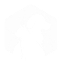 lindseyvet.com icon