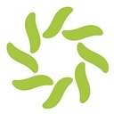 Lingoport logo