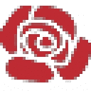 99flower Kr logo