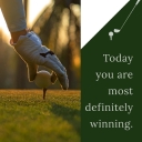 Link Hills Country Club logo