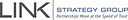 Link Strategy Group logo