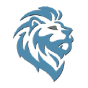 Lion Electronic Solution