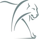 Lionlight Capital