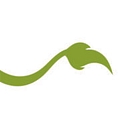 Lionheart Children's Academy logo