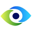 Lions Services Inc logo