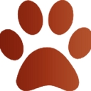 LIONS TIGERS & BEARS