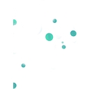 liquidsoftware.com icon