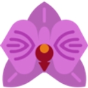 Timeless Glow Studio Corp