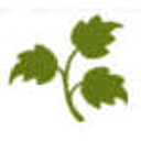 Lisle Community Service Corporation logo