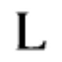Lisson logo
