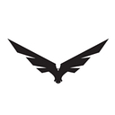 Litefighter Systems logo