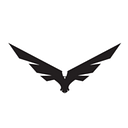 LiteFighter Gear logo