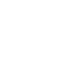 Little Blossom Montessori Academy, Inc logo