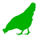 Little Fields Farm logo