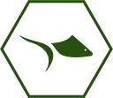 Little Fish Restaurant logo