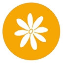 Little Sisters Of The Assumption Family Health Service logo