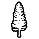 Little Tree