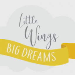 Little Wing's Big Dreams Ltd logo