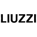 Liuzzi Property Group Pty Ltd logo