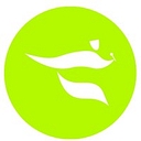 Live Event Solutions logo