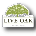 City of Live Oak logo