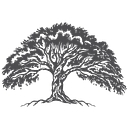 Live Oak Contracting logo