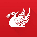 Liverpoolecho Co logo