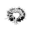 International Living Future Institute logo