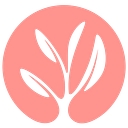 Favicon of Liwadi Lead