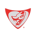 Flying Lizard Motorsports logo