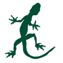 lizardskin.com icon