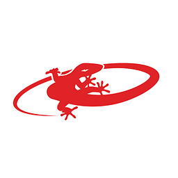 LIZARD SKINS logo