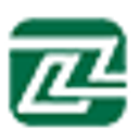LIZ Electronics