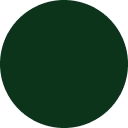 Lizzy McAlpine logo
