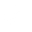 Little John Transportation